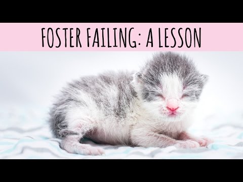 Foster Failure