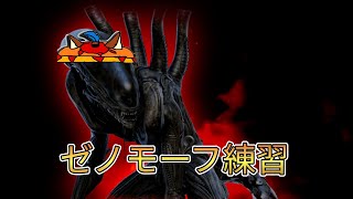 ゼノモーフ練習デドバ配信