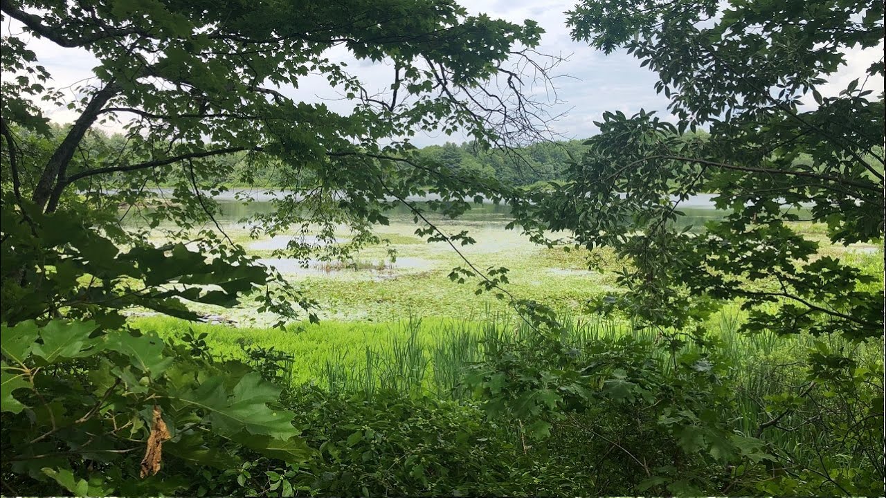 Larkin Bridle Trail ( Riggs Street in Oxford, CT to South Street in Middlebury, CT)