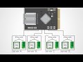 NVIDIA Networking: Introduction to ConnectX Network Interface Cards
