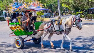 Download lagu NAIK DELMAN ISTIMEWA - LAGU ANAK ANAK mp3 Download lagu NAIK DELMAN ISTIMEWA - LAGU ANAK ANAK mp3