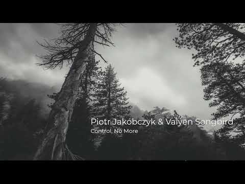 Piotr Jakóbczyk & Valyen Songbird - Control, No More