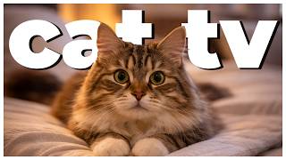 4 Hour Cat TV | Birds & Nature Video for Cats | Cat Entertainment & Enrichment