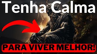 9 Princípios Estoicos Para Desenvolver Resiliência Emocional DOMINE SUAS EMOÇÕES   Filosofia Estoica