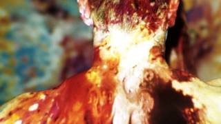 The Amorphous Androgynous - Tiny Space Birds