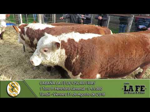 31-08-18 Venta de Toros P. Hereford Generales - Cabaña La Fe de Oscar A. Frias - Tandil