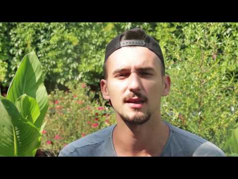 VJ GRADI SHOW- Stiri de vara