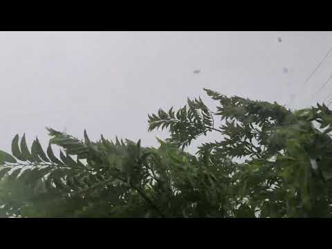 Início de Temporal muita chuva é Vendaval em Presidente Juscelino 2026