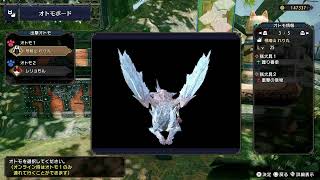 ＃１７　初心者ハンターレリョもん冒険記［MH RISE］集会所クエスト進めて進展させてやるぅ！