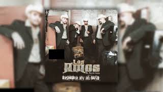 Los Amos - Que Perra