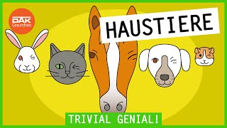 Haustiere: Warum Tiere gut für die Gesundheit sind | Trivial Genial | 