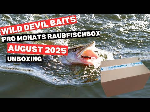 Die Wild Devil Baits Raubfisch Pro Monatsbox August 2025 im Unboxing! Knaller Kiste für knapp 30€!