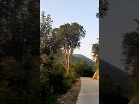 The road between Oravita-Ciclova Romania 2020