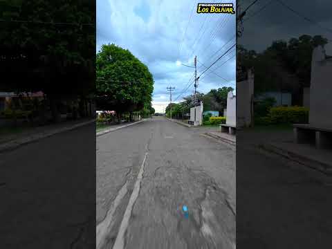 Santa Rosa - Carmen De Cura...