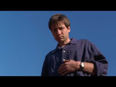 The X-Files - Mulder finds hybrids' corpses in a boxcar [2x25 - Anasazi]