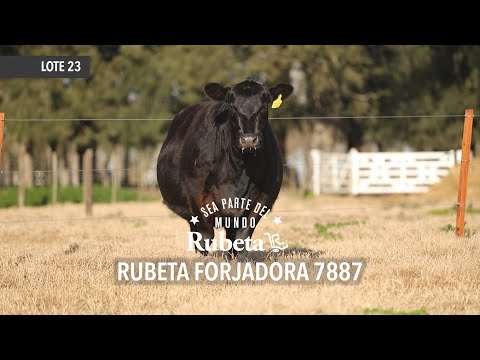 RUBETA FORJADORA 7881 - LOTE 23