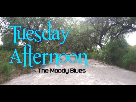 Moody Blues - Tuesday Afternoon LYRICS