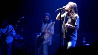 Cypress Tree - The Black Crowes LIVE