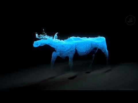 THE MAKING OF: ANCHOR MILK "COWS"