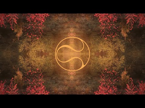 DEKEL - SOL - Full Album