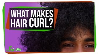 What Makes Your Hair Curl?