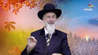 פרשת כי תבוא 2025 | הרב יונה מצגר - מדהים! (ארגון ענפים) - התמונה מוצגת ישירות מתוך אתר האינטרנט יוטיוב. זכויות היוצרים בתמונה שייכות ליוצרה. קישור קרדיט למקור התוכן נמצא בתוך דף הסרטון פרשת כי תבוא 2025 | הרב יונה מצגר - מדהים! (ארגון ענפים) - התמונה מוצגת ישירות מתוך אתר האינטרנט יוטיוב. זכויות היוצרים בתמונה שייכות ליוצרה. קישור קרדיט למקור התוכן נמצא בתוך דף הסרטון