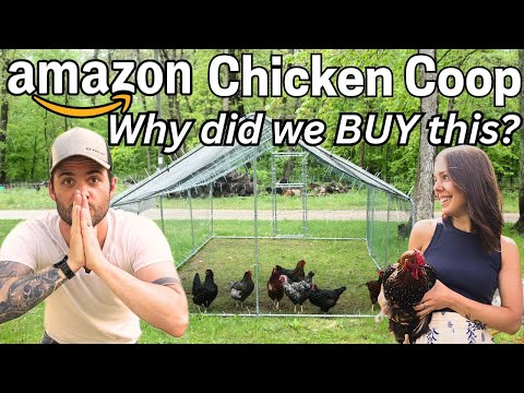 A Thank You from Four Brothers Farm