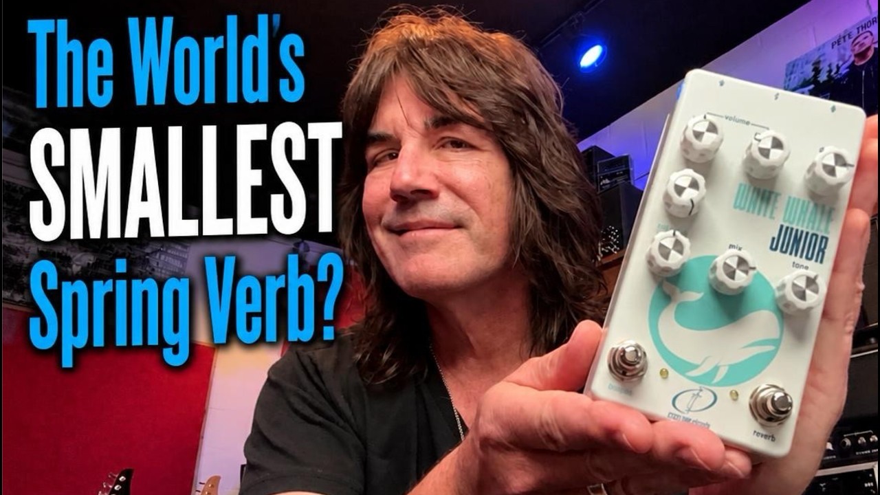 THE WORLD'S SMALLEST SPRING VERB? CTC WHITE WHALE JR. REVERB/TREMOLO
