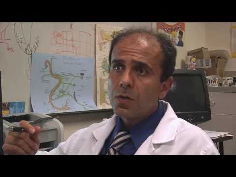 FAU Faculty Spotlight - Ali Danesh, Ph.D.
