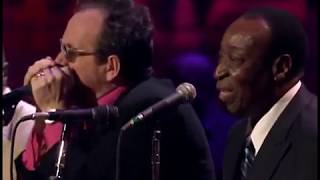 Dave Bartholomew &amp; Elvis Costello - The Monkey