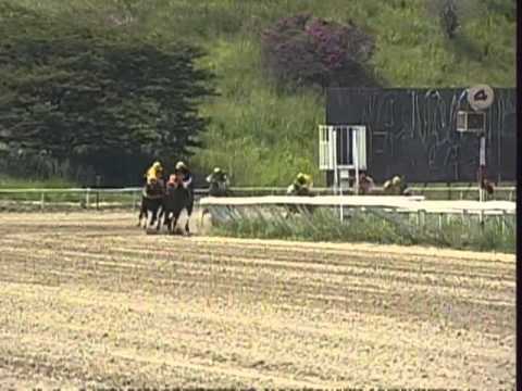 3ra carrera SABADO 5 octubre 2013 LA RINCONADA