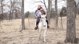 Video thumbnail for Unicorns – PART 2 – Daniel's daydream by JHS Pedals