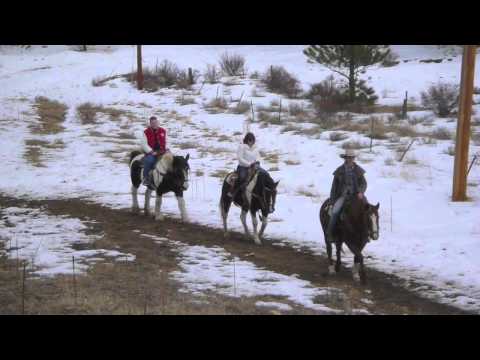 Rocky Mountain Trail Rides