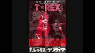 Marc Bolan (T. Rex) rare Japanese interview 1972