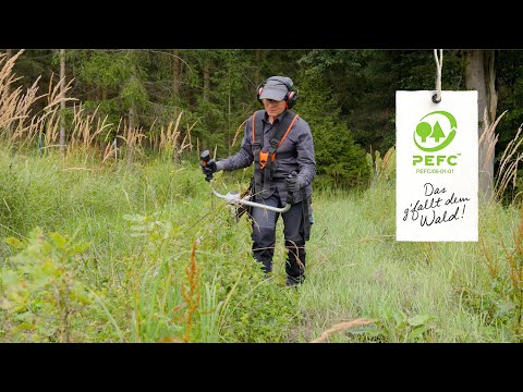 Das PEFC-Siegel zu Besuch bei der Guts- & Forstverwaltung HOYOS!