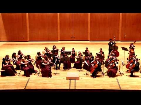 2017-02-26 Chamber Orchestra - Styres' Rally