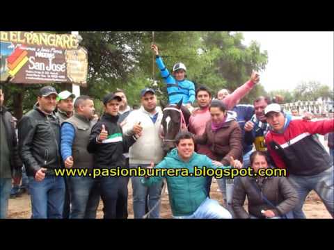 Zorrito Peludo, Pista Pangare Cruz del Eje (01-11-15)
