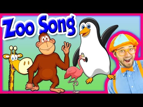 The Zoo Song – Animal Song for Kids – We’re Going to the Zoo – Nursery Rhymes for Toddlers Video