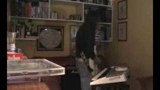 HIT AN´RUN WHITESNAKE eddie cover