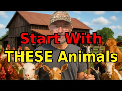Best Livestock for Beginners (Avoid These Mistakes)