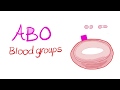 Blood Types (ABO system)