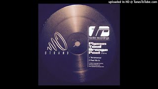 Strand - Terramancer (2002)