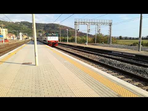 Una Tartaruga strombazzante in Cilento