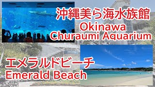 沖縄美ら海水族館 エメラルドビーチ Okinawa Churaumi Aquarium Emerald Beach (2024年7月撮影)