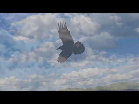 Vasiliy Nikitin Chillout Ambient Music Mix 140