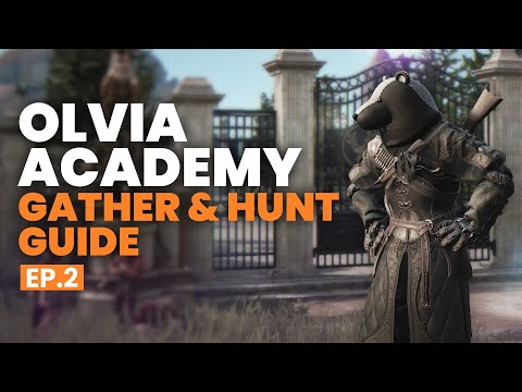 BDO | The BEST Olvia Academy Gather & Hunting Questline Guide - EP.2