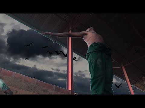 BLACKNONDE - ALPHA (Clip Officiel)