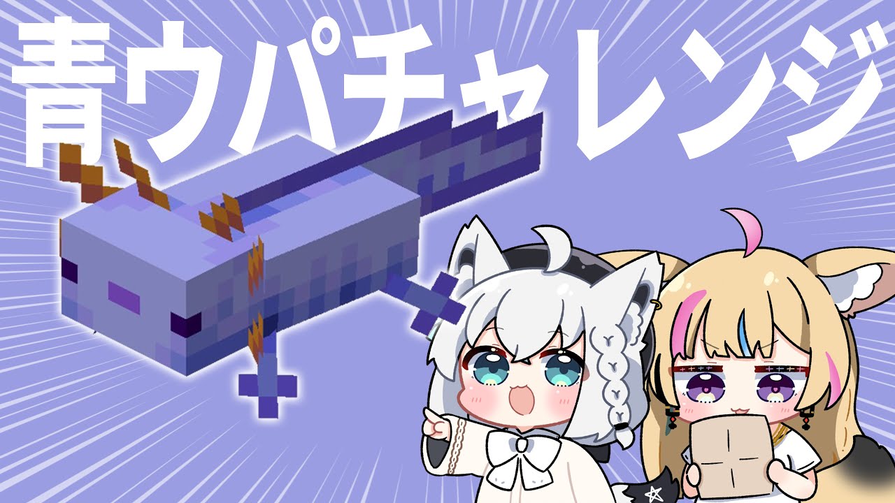 【Minecraft】えっ!?フブ鯖で青ウパチャレンジ!? #フブポル【尾丸ポルカ視点/ホロライブ】