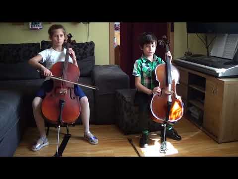 Nauka gry na wiolonczeli