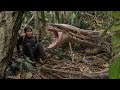 Trang S Life Or Death Moment As She Confronts Giant Python In The Deep Forest